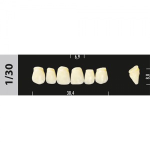 Стоматорг - Зубы Major A3  1/30 фронтальный верх, 6 шт (Super Lux).