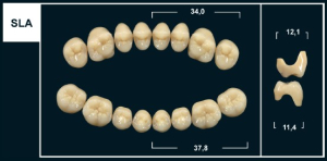 Стоматорг - Зубы Yeti C2 SLA жевательный верх (Tribos) 8 шт.