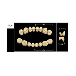 Стоматорг - Зубы Yeti A3 SLA жевательный верх (Tribos) 8 шт.