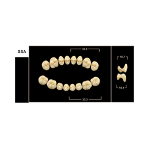 Стоматорг - Зубы Yeti B2 SSA жевательный низ (Tribos) 8 шт.