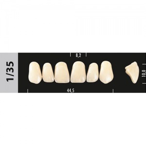 Стоматорг - Зубы Major C3  1/35 фронтальный верх, 6 шт (Super Lux)