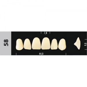Стоматорг - Зубы Major D4 58, 28 шт (Super Lux)