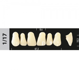 Стоматорг - Зубы Major A3  1/17 фронтальный верх, 6 шт (Super Lux).