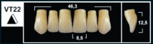 Стоматорг - Зубы Yeti D2 VT22 фронтальный верх (Tribos) 6 шт. 