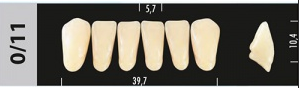 Стоматорг - Зубы Major B3 0/11 фронтальный низ, 6 шт (Super Lux)