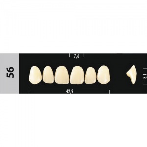 Стоматорг - Зубы Major D4 56, 28 шт (Super Lux)