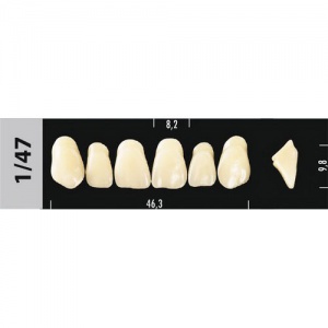 Стоматорг - Зубы Major D4 1/47, 28 шт (Super Lux)