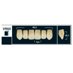 Стоматорг - Зубы Yeti B1 VR65 фронтальныйальныйверх (Tribos) 6 шт.
