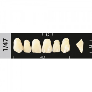 Стоматорг - Зубы Major C4  1/47 фронтальный верх, 6 шт (Super Lux)