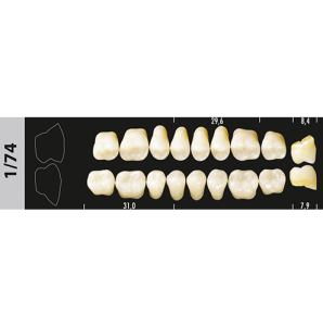 Стоматорг - Зубы Major B4 1/74 жевательный низ, 8 шт (Super Lux)