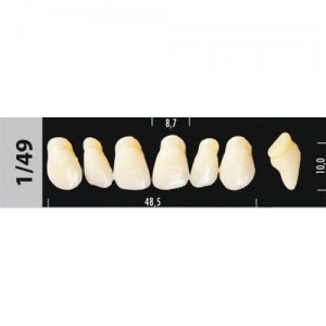 Стоматорг - Зубы Major D4 1/49, 28 шт (Super Lux)