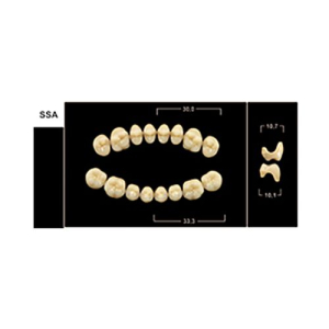 Стоматорг - Зубы Yeti D4 SSA жевательный низ (Tribos) 8 шт. 