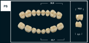 Стоматорг - Зубы Yeti A1 PS жевательный низ (Tribos) 8 шт.