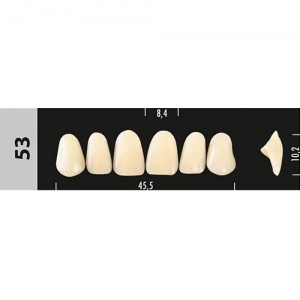 Стоматорг - Зубы Major C3  53 фронтальный верх, 6 шт (Super Lux)