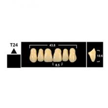 Стоматорг - Зубы Yeti A1 PS жевательный верх (Tribos) 8 шт.