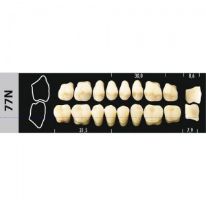 Стоматорг - Зубы Major D4 77N жевательный верх, 8 шт (Super Lux)