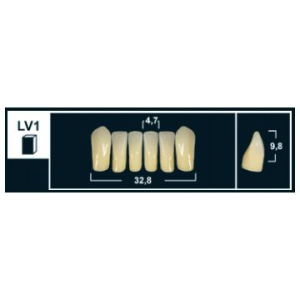 Стоматорг - Зубы Yeti C3 LV1 фронтальный низ (Tribos) 6 шт. 