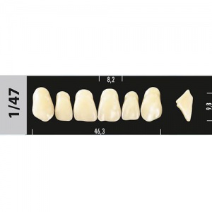 Стоматорг - Зубы Major A1  1/47 фронтальный верх, 6 шт (Super Lux).
