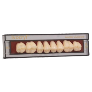 Стоматорг - Зубы Ivocryl Набор из 8 зубов A-D жеват.верх. 28 D2.           