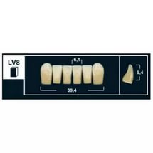 Стоматорг - Зубы Yeti D2 LV8 фронтальный низ (Tribos) 6 шт. 