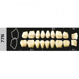 Стоматорг - Зубы Major D3 77N жевательный верх, 8 шт (Super Lux)