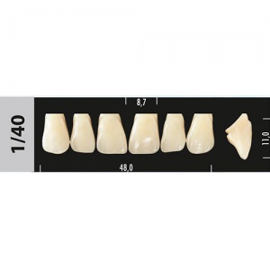 Стоматорг - Зубы Major D3 1/40, 28 шт (Super Lux)