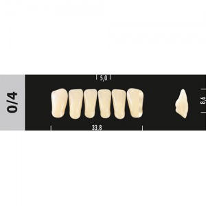 Стоматорг - Зубы Major B1 0/4 фронтальный низ, 6 шт (Super Lux).