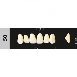 Стоматорг - Зубы Major A2  50 фронтальный верх, 6 шт (Super Lux).