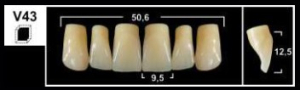 Стоматорг - Зубы Yeti A3,5 V43 фронтальный верх (Tribos) 6 шт.