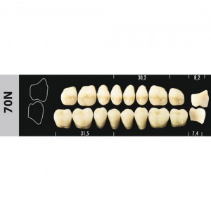 Стоматорг - Зубы Major D4 70N жевательный низ, 8 шт (Super Lux)