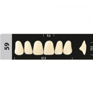 Стоматорг - Зубы Major B4 59, 28 шт (Super Lux)