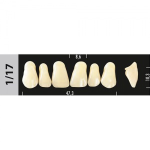 Стоматорг - Зубы Major D4  1/17 фронтальный верх, 6 шт (Super Lux)