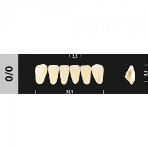 Стоматорг - Зубы Major D4 0/0 фронтальный низ, 6 шт (Super Lux)