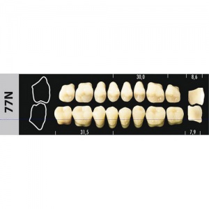 Стоматорг - Зубы Major D4 77N жевательный низ, 8 шт (Super Lux)