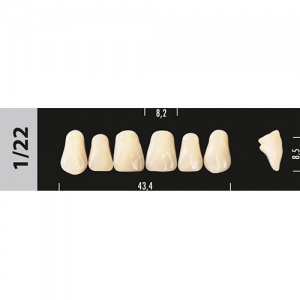 Стоматорг - Зубы Major C3  1/22 фронтальный верх, 6 шт (Super Lux)