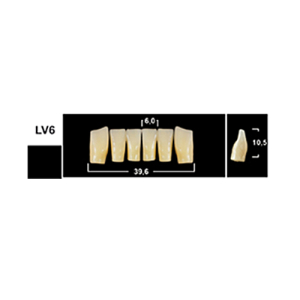 Стоматорг - Зубы Yeti A2 LV6 фронтальный низ (Tribos) 6 шт.