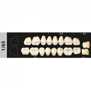 Стоматорг - Зубы Major D2 1/65 жевательный верх, 8 шт (Super Lux)