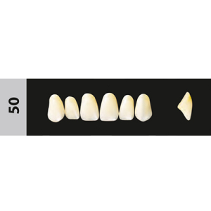Стоматорг - Зубы Major B3  50 фронтальный верх, 6 шт (Super Lux).