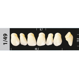 Стоматорг - Зубы Major C4  1/49 фронтальный верх, 6 шт (Super Lux)
