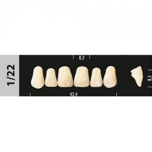 Стоматорг - Зубы Major D3 1/22, 28 шт (Super Lux)