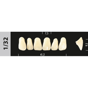 Стоматорг - Зубы Major C1  1/32 фронтальный верх, 6 шт (Super Lux)