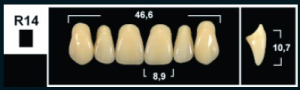 Стоматорг - Зубы Yeti BL3 R14 фронтальный верх (Tribos) 6 шт.