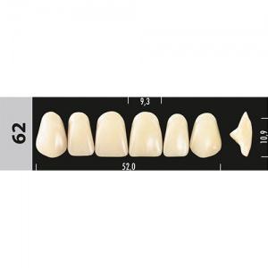 Стоматорг - Зубы Major C3  62 фронтальный верх, 6 шт (Super Lux)