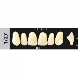 Стоматорг - Зубы Major B2  1/27 фронтальный верх, 6 шт (Super Lux).
