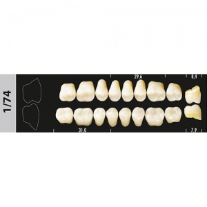Стоматорг - Зубы Major C2 1/74 жевательный верх, 8 шт (Super Lux)