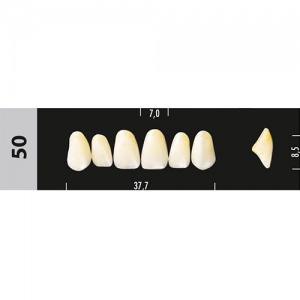 Стоматорг - Зубы Major D4  50 фронтальный верх, 6 шт (Super Lux)