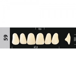 Стоматорг - Зубы Major D4 59, 28 шт (Super Lux)