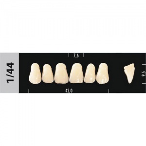 Стоматорг - Зубы Major D4 1/44, 28 шт (Super Lux)