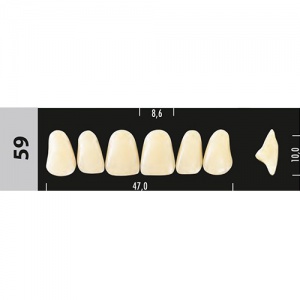 Стоматорг - Зубы Major C3  59 фронтальный верх, 6 шт (Super Lux)