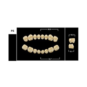 Стоматорг - Зубы Yeti C4 PS жевательный низ (Tribos) 8 шт. 